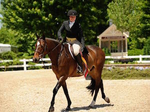 Palladia Farm Horse Boarding in Chicago