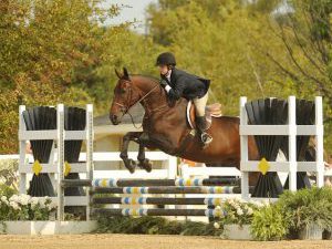Palladia Farm Hunter Jumper Barn